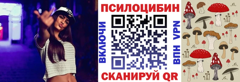 Псилоцибиновые грибы Psilocybe  Куйбышев 
